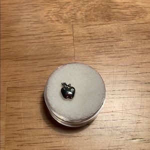 Origami Owl Silver Apple Charm